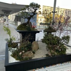 庭園デザイナーの石原和幸氏の作品がお目見え！